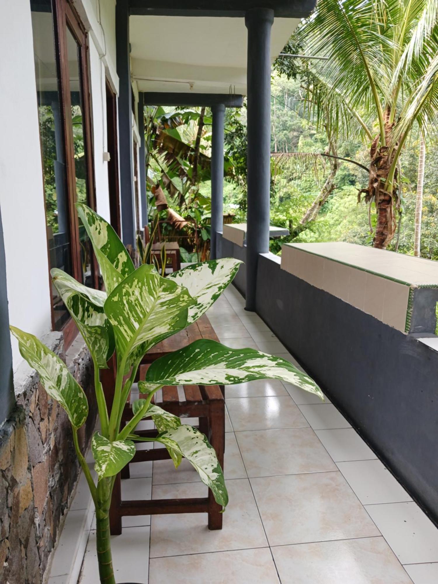 Joseph Guest House Kelimutu Exterior foto